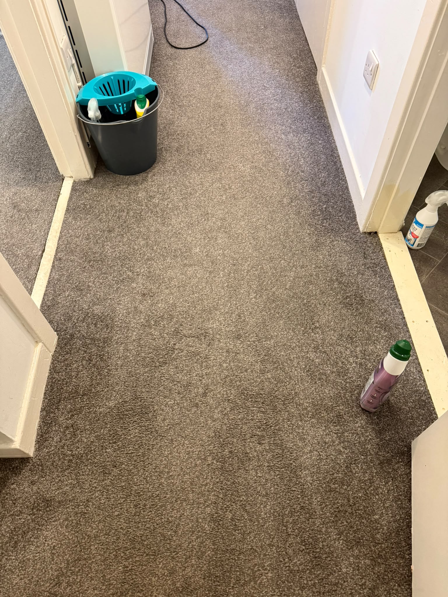 Carpet cleaning Edinburgh